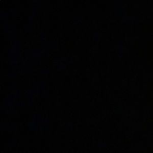 Meet your Posher, Marley